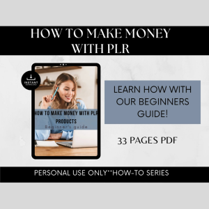 How to Make Money with PLR eBook | 33-Page Beginner's Guide | Personal Use Only | Start Your PLR Business