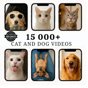 Viral Funny 15k+ Cat & Dog Videos Bundle
